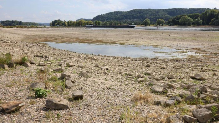 BAD HONNEF, GERMANY - AUGUST 16: A boat is left aground in the harbour of Bad Honnef along the river Rhine on August 16, 2022 in Bad Honnef, Germany. The ongoing hot weather and lack of rain have caused water levels on the Rhine to fall, which is complicating shipping on several of the country's major rivers. Cargo ships are currently unable to travel with full loads, driving up shipping prices several fold. The Rhine is Germany's busiest river for cargo due to the many factories and industrial facilities in the region. Germany is facing a persistently hot and dry summer.  (Photo by Andreas Rentz/Getty Images)