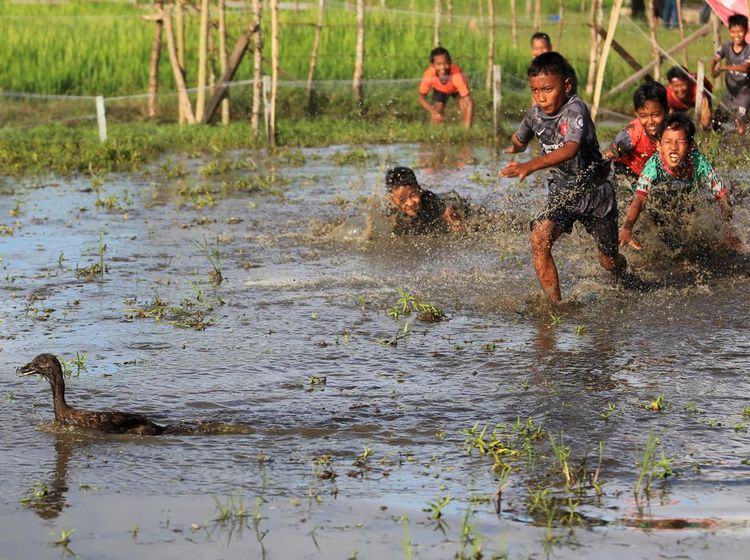 Meriah Banget Lomba 17an di Berbagai Daerah: Gebuk Guling sampai Kejar Bebek