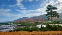 Untuk mengusut praktek pertambangan illegal itu, kata Pangdam, ia telah memerintahkan jajarannya untuk melakukan investigasi. Pangdam menegaskan akan memfokuskan perhatian terhadap aktivitas pertambangan nikel illegal, kerena tambang batuan mengolah nikel secara ilegal dalam kawasan hutan produksi. Selain penindakan secara hukum, pihaknya juga akan intens melakukan edukasi. 