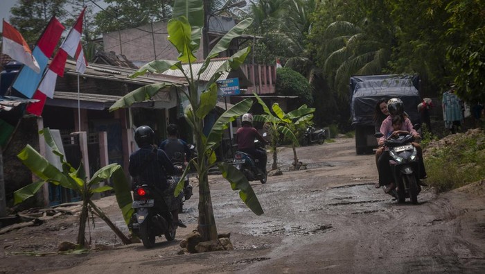 Protes Jalan Rusak Warga Tanam Pohon Di Tengah Jalan