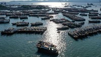 Kini larangan itu telah dicabut dan ratusan kapal nelayan langsung menyerbu Laut China Selatan untuk menangkap ikan.  