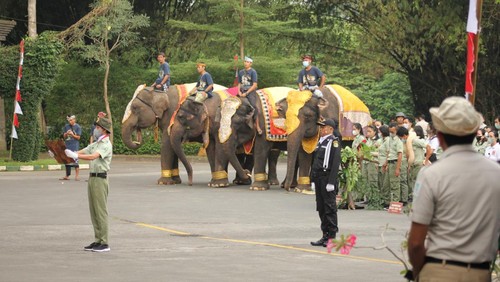 Sejumlah satwa seperti trenggiling, ular python, anjing kintamani, hingga gajah, turut mengikuti upacara bendera memperingati HUT ke-77 RI di Bali Safari Park, Gianyar, Rabu (17/8/2022).