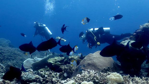 Hari Maritim Nasional sebenarnya jatuh pada tanggal 23 September, bukan tanggal 21 Agustus. Bagaimana sejarah Hari Maritim Nasional? Simak informasi di sini.