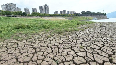 Ini Kekeringan di China yang Ganggu Pertanian, Air Minum hingga Pabrik