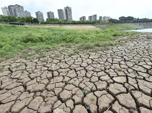 Ini Kekeringan di China yang Ganggu Pertanian, Air Minum hingga Pabrik