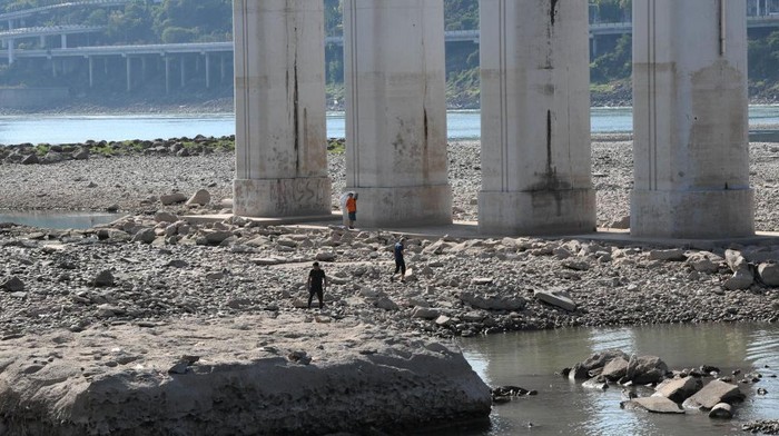 Kekeringan di China Mulai Ganggu Hasil Panen dan Pasokan Air Minum CHONGQING, CHINA - AUGUST 17: People play on the Yangtze River bed on August 17, 2022 in Chongqing, China. The water level of the Yangtze River has dropped due to high temperature and drought. (Photo by Zhou Yi/China News Service via Getty Images)