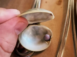 Rezeki Nomplok! Pria Ini Temukan Mutiara Ungu Langka Saat Makan di Restoran