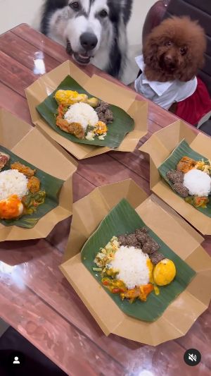 Nasi Padang untuk Anjing ditawarkan oleh penjual makanan anjing di Jakarta.