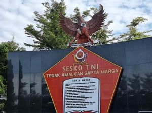 Panglima TNI Mutasi Brigjen NA yang Tembaki Kucing di Sesko TNI Bandung