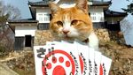 Potret Lord Sanjuro, Kucing Oyen Penguasa Kastil di Jepang