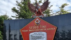 TNI Sebut Brigjen NA Tembaki Kucing-kucing Bukan karena Benci, tapi...