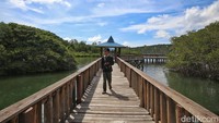 Tak hanya itu, disebelahnya terdapat Kawasan hutan mangrove yang sekaligus menjadi daya tarik wisatawan asing untuk berkunjung.  