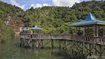 Istimewa! Air Terjun 7 Tingkat di Anambas Sajikan Pemandangan Laut Lepas