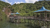 Di hutan mangrove itu terdapat pelantar kayu yang sengaja dibangun sebagai tempat bersantai. Selain beristirahat, Traveler juga dapat berswafoto dengan latar belakang Air Terjun Temburun.  