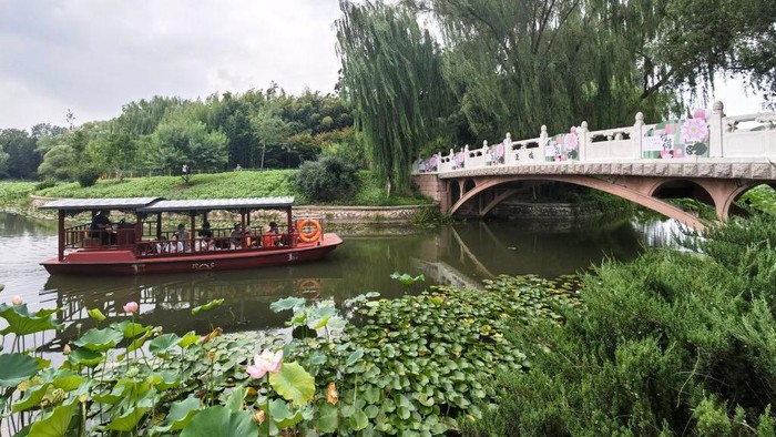 BEIJING, CHINA - AUGUST 17: Tourists take boat to appreciate lotus flowers at Zizhuyuan (Purple Bamboo) Park on August 17, 2022 in Beijing, China. Visitors can enjoy a close look at the flowers by riding a boat in the ponds during the summer season. (Photo by Zhao Jun/China News Service via Getty Images)