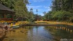 Dinginnya Air Terjun Neraja, Wisata Hidden Gem di Anambas