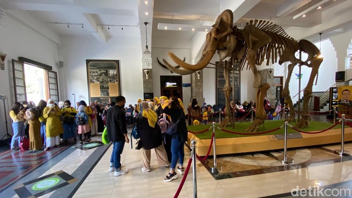 Fosil gajah purba yang tersimpan di Museum Geologi Bandung