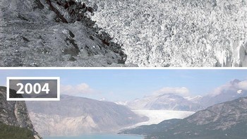 Pencairan Gletser Muir, Alaska Foto: NASA