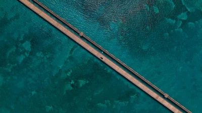 Jalan Tol Paling Eksotis di Florida Ini Beneran Wow Banget