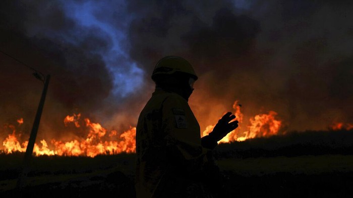 A firefighter works to put out a forest fire in the Rio Maior area in Portugal, Wednesday, Aug. 17, 2022. (AP Photo/Joao Henriques)