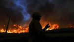 Penampakan Kobaran Api yang Lalap Hutan di Portugal