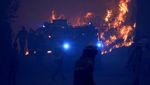Penampakan Kobaran Api yang Lalap Hutan di Portugal