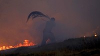 Kebakaran melanda sejumlah hutan di Portugal akibat gelombang panas di negara tersebut.