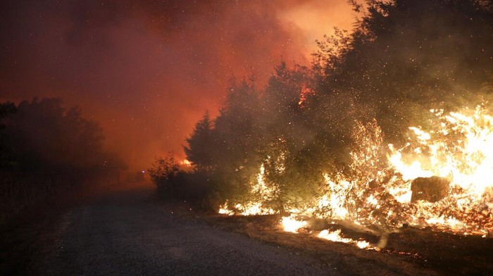 Kebakaran Hutan di Portugal A firefighter works to put out a forest fire in the Rio Maior area in Portugal, Wednesday, Aug. 17, 2022. (AP Photo/Joao Henriques)