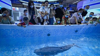 Pengunjung melihat sebuah robot menyerupai ikan.