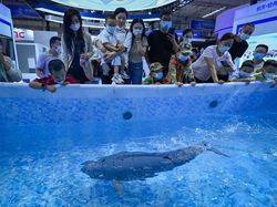 Bikin Takjub, Deretan Robot Canggih Ini Dipamerkan di Beijing