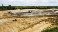 Diketahui dari lahan seluas 256 ribu hektar di IKN, hampir dua pertiganya akan dikembalikan menjadi zona rimba atau hutan tropis.  