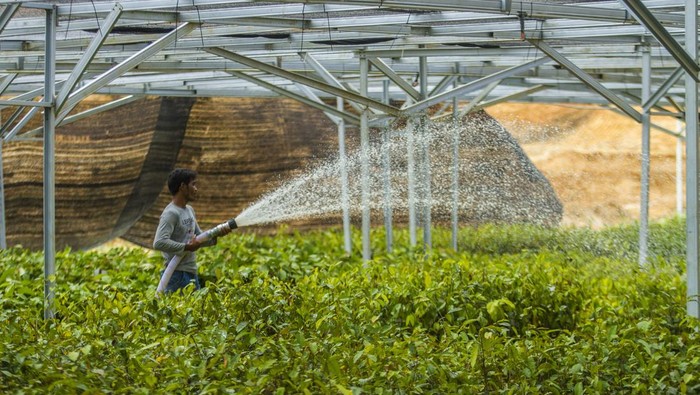 Lahan Tidur Milik Negara Disulap Jadi Kawasan Produksi Pangan