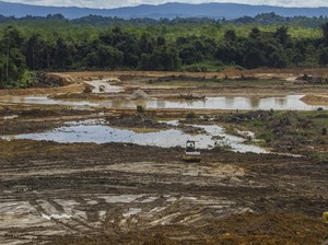 Pembebasan Lahan di IKN Masih Terkendala, Ini Alasannya