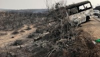 Sejumlah mobil terjebak di tengah kebakaran hutan yang terjadi di Aljazair.