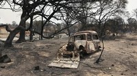 Kira-kira, mobil jenis apa ini ya? Kebakaran hutan itu dipicu cuaca yang cukup terik.