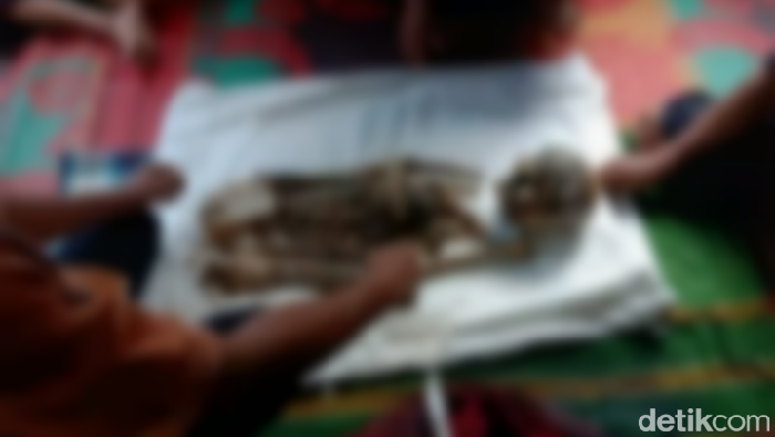 Penemuan kerangka manusia di Tapsel.