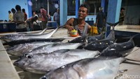 Teras BRI Kapal ini sudah beroperasi selama 2 tahun dan telah menjangkau 6 wilayah di Anambas untuk meningkatkan inklusi keuangan dan mendukung ekonomi kerakyatan di pulau-pulau terpencil yang sulit di akses masyarakat Kepulauan Anambas.