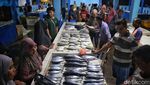 Uniknya Pasar Ikan di Tarempa, Jual Belinya Tanpa Timbangan Lho