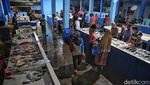 Uniknya Pasar Ikan di Tarempa, Jual Belinya Tanpa Timbangan Lho