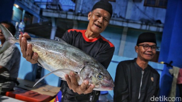 Uniknya Pasar Ikan di Tarempa, Jual Belinya Tanpa Timbangan Lho