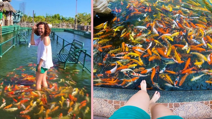 Restoran di Filipina Ini Punya Jalanan Isi Ikan Warna-warni yang Keren! Restoran di Filipina Ini Punya Jalanan Isi Ikan Warna-warni yang Keren!