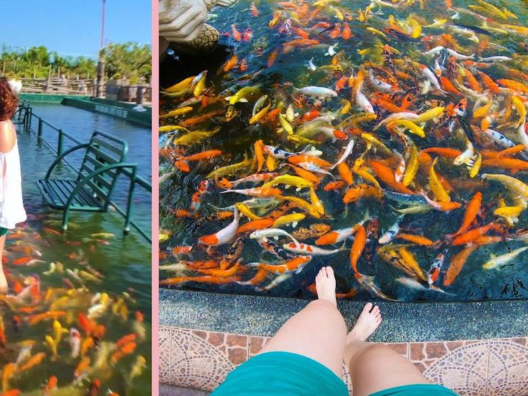 Restoran di Filipina Ini Punya Jalanan Isi Ikan Warna-warni yang Keren!