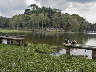 Potret Situ Gede Tasikmalaya yang Butuh Perhatian