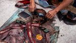 Beginilah Ritual Ganti Baju Orang Mati di Toraja, Bikin Merinding