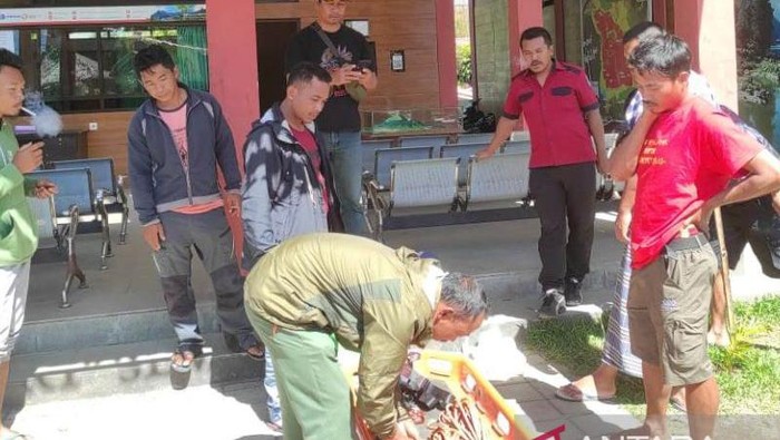 Seorang pendaki WNA dikabarkan tewas setelah terjatuh di sebelah barat puncak Gunung Rinjani, Lombok, Jumat (19/8/2022).
