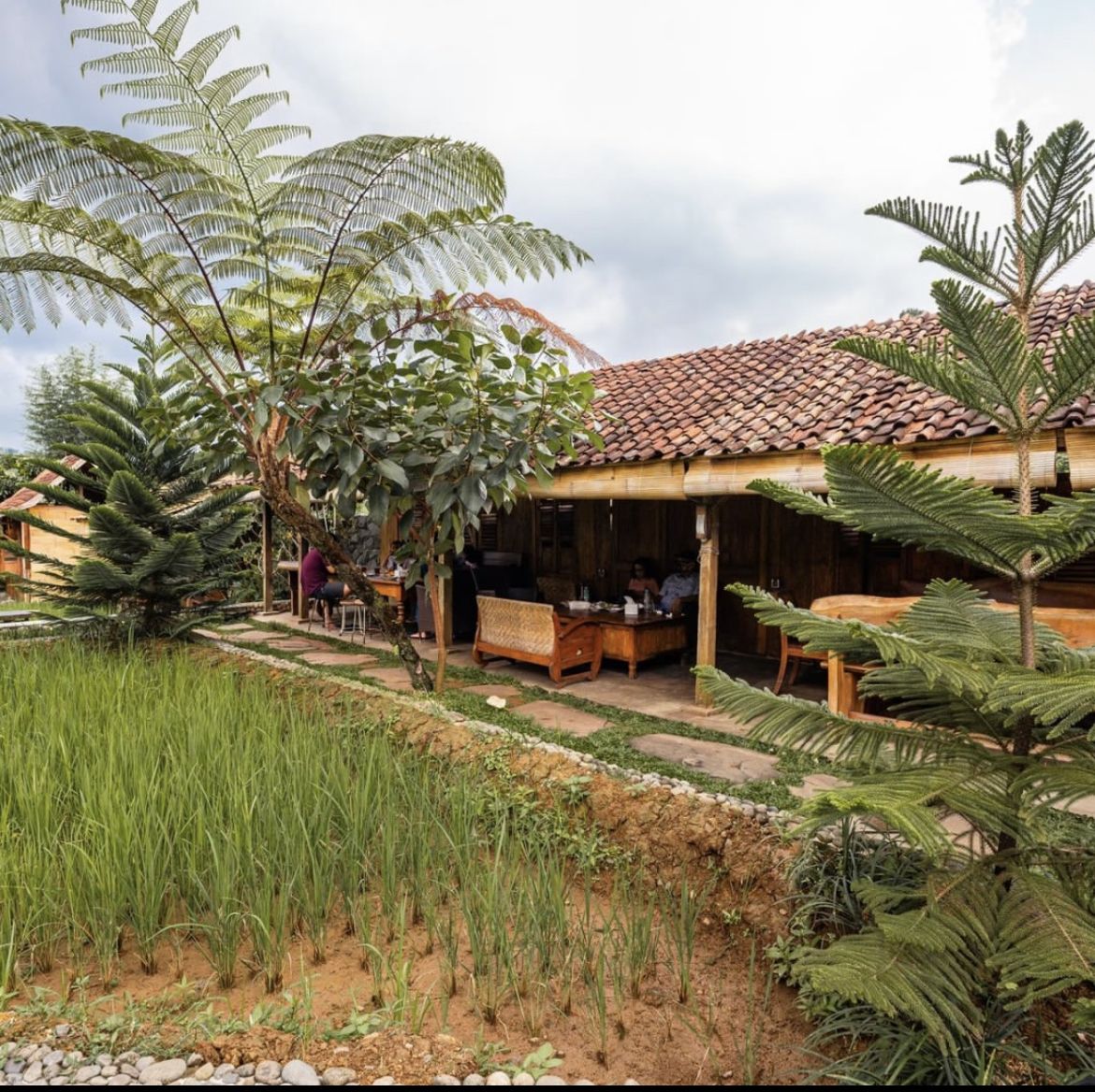 Seru! 5 Kafe di Bogor Ini Tawarkan Pemandangan Sawah hingga Sungai