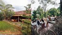Seru! 5 Kafe di Bogor Ini Tawarkan Pemandangan Sawah hingga Sungai