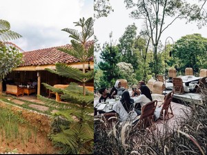 Seru! 5 Kafe di Bogor Ini Tawarkan Pemandangan Sawah hingga Sungai