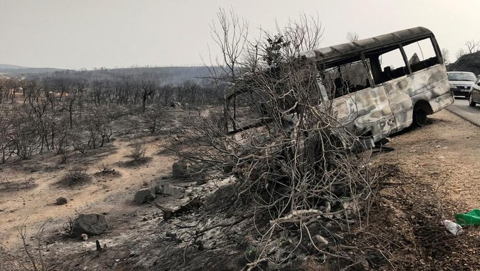Burnt trees and a bus are pictured following a wildfire in El Kala, in Al Taref province, Algeria August 18, 2022. REUTERS/Ramzi Boudina       TPX IMAGES OF THE DAY