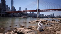 Sungai Jialing, Chongqing yang mulai mengering dijadikan spot foto untuk calon pengantin untuk foto prewedding, Kamis (18/8/2022). Chongqing berada nun jauh dari Ibu Kota Beijing, sekitar 1800 km sebelah selatan Kota Terlarang.